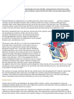 Cardiac Physiology