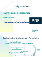 Acetylcholine: - Synthesis and Degradation - Receptors