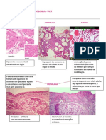 PATOLOGIAS HISTOLOGICAS