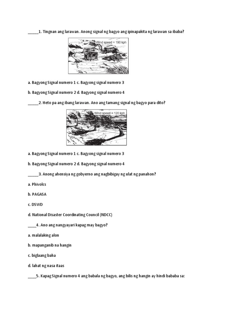 Bagyo | PDF