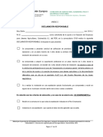 Declaracion Responsable (Anexo 2)