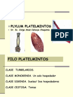 Phylum Platelmintos