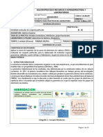 3-4. Modelado Molecular de Casquete Perforado