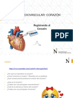 El Aparato Cardiovascular