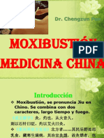 122702959 Dr Chengzun Pan Moxibustion