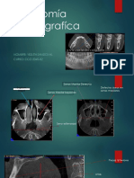 Anatomia Tomografica