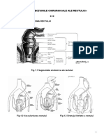 Patologie-rect-Sem.doc