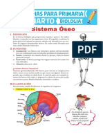 Sistema Óseo para Niños para Cuarto de Primaria PDF