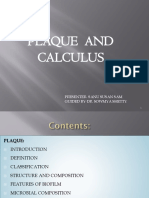 5-Plaque and Calculus