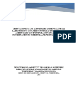 Orientaciones para La Definicion y Actualiza de Las Det Amb PDF