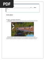 AULA DE INFORMÁTICA 6° ANO