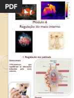módulo_6