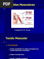 Tecidos Musculares