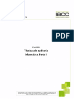 04 Contenido Auditoria Informatica V5 PDF