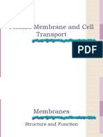 Cell Transport Study Guide.ppt