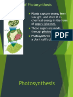 Photosynthesis.ppt