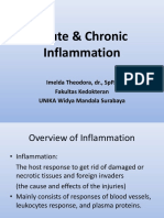 Inflammation & Immune Response