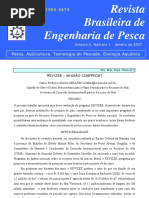 Programa Revizee - Historia