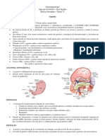 Gastrite PDF