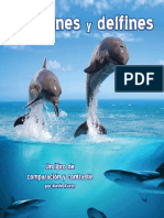 SharksDolphinsES-Preview.pdf