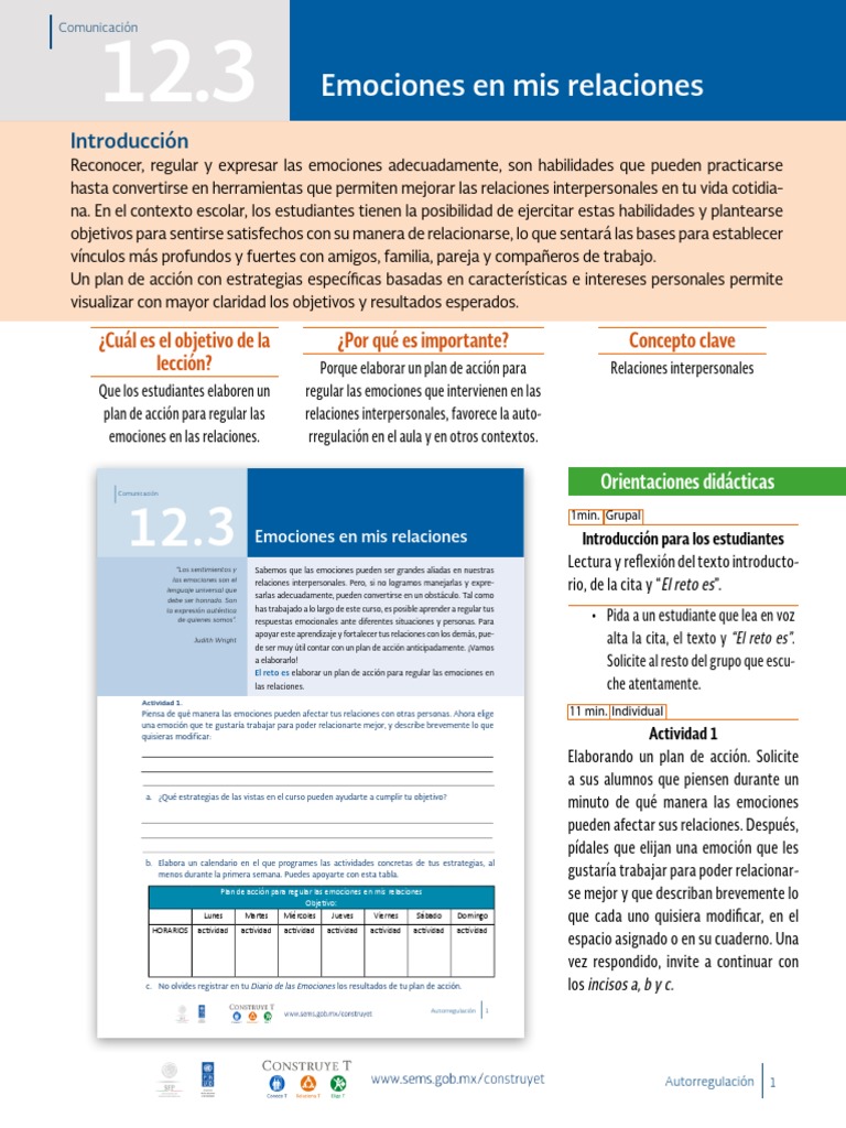Plan de Acción para Regular Emociones | PDF | Las emociones | Aprendizaje