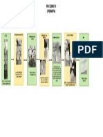 Diagrama Saponificacion PDF