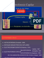 1.13Electroforesis_34638