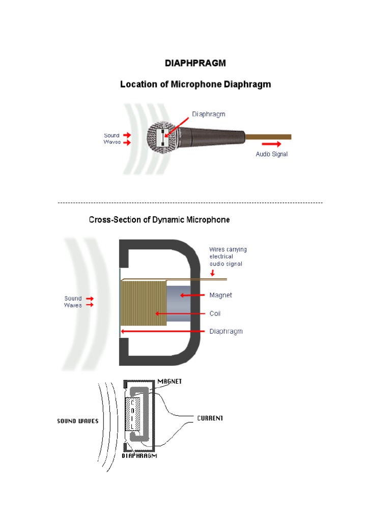 Diaphpragm Location of Microphone Diaphragm PDF