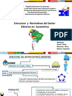 Estrutura y Normativas Del Sector Electrico en Suramerica