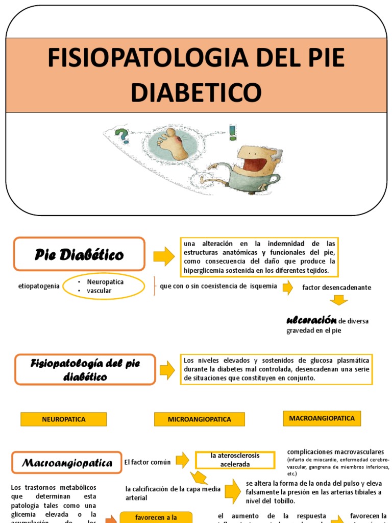 Pie Diabetico Fisiopatologia PDF Diabetes mellitus Especialidades