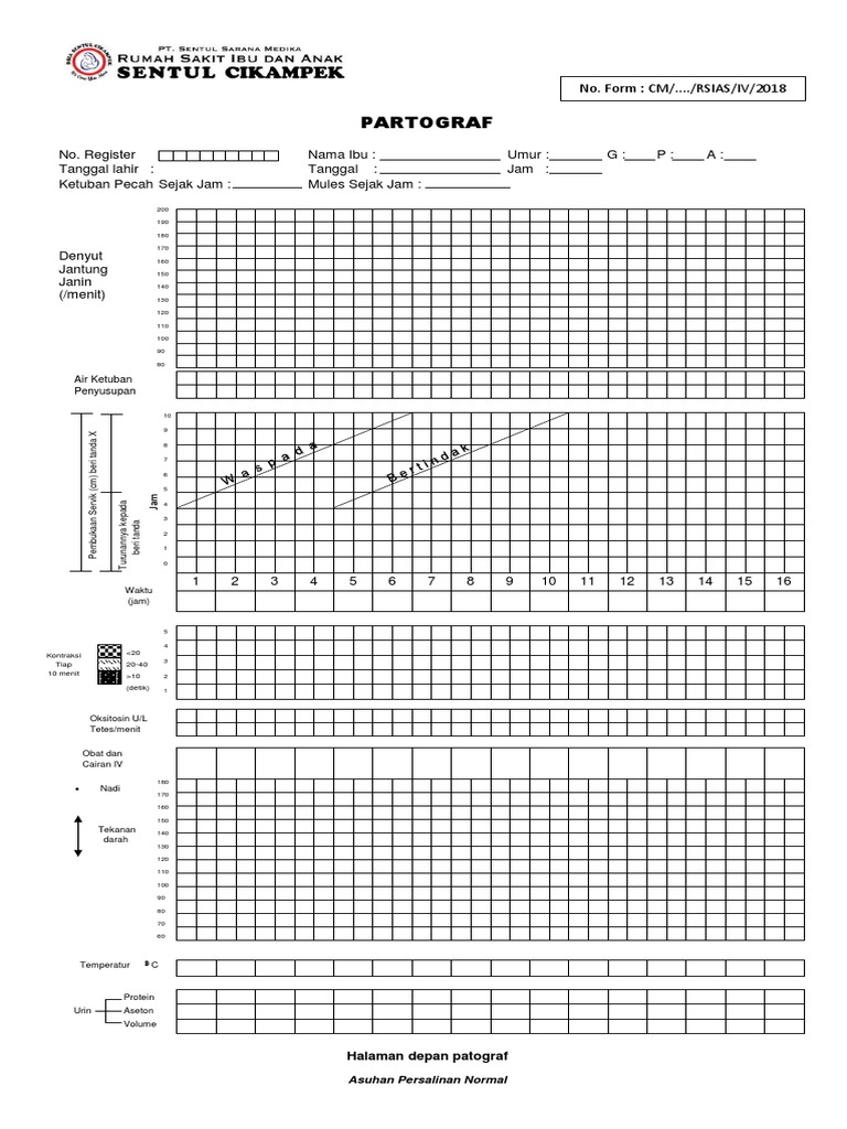 Patograf | PDF