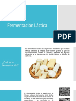 Fermentacion Lactica