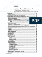 Respiratory Chains of Escherichia Coli