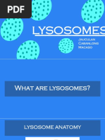 Lysosomes: Jauculan Cabanlong Macaso