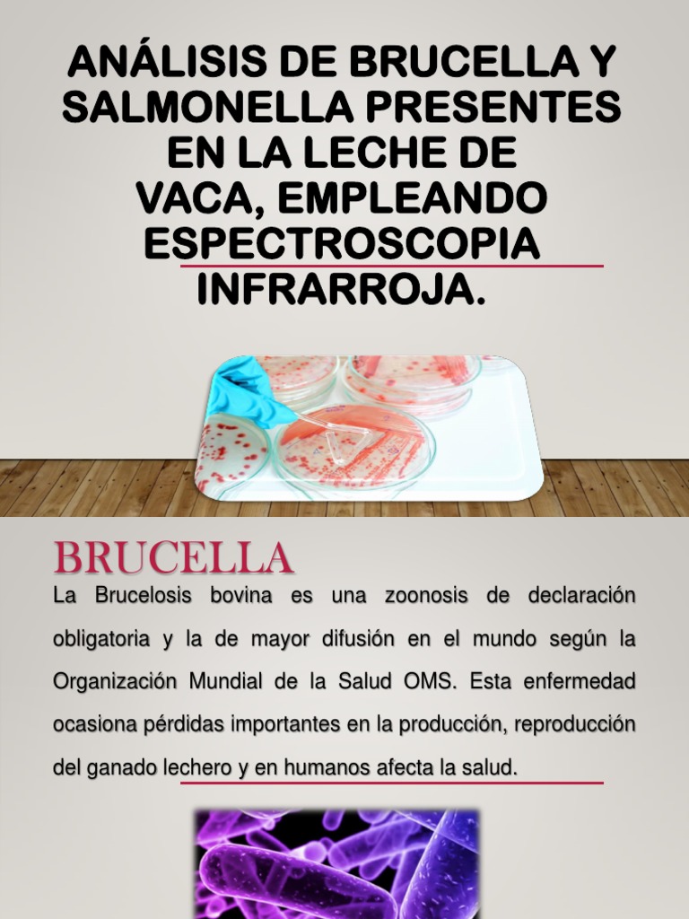 Analisis de Brucella y Salmonella en Leche PDF Salmonela Biología