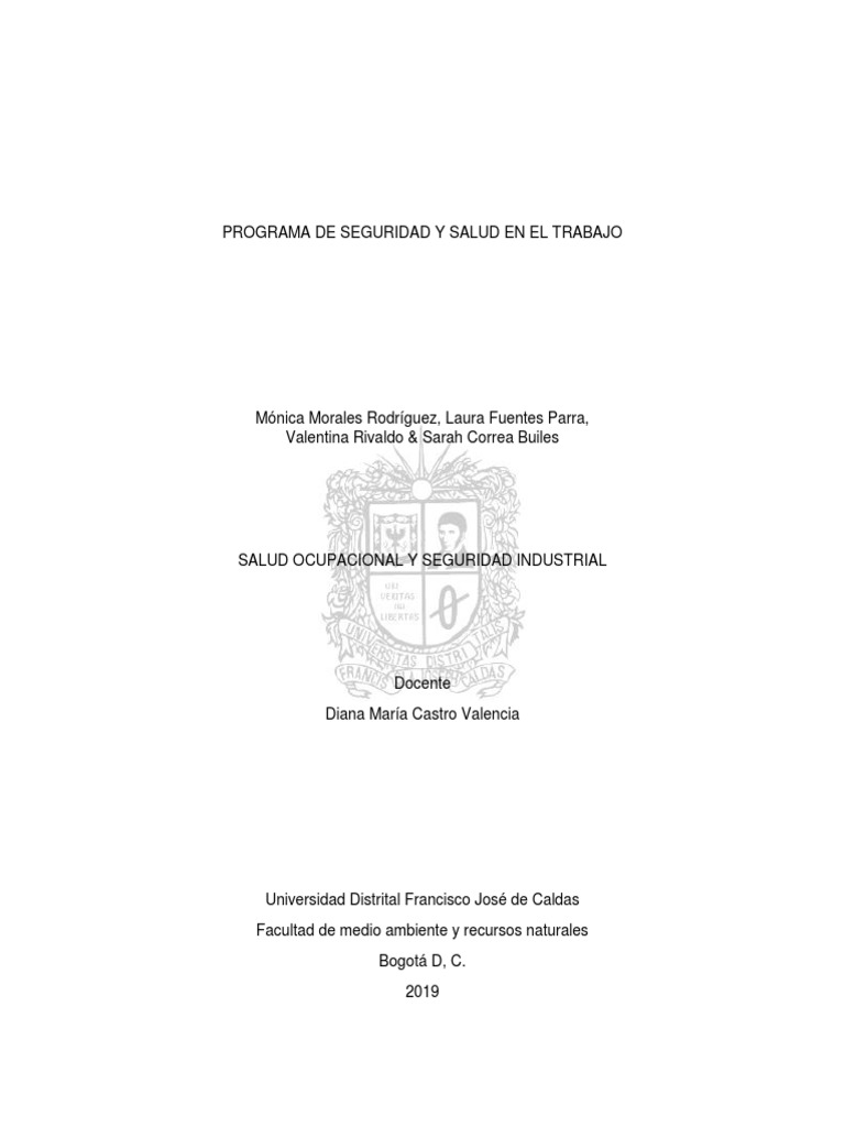 Programa de Seguridad y Salud en El Trabajo Final | PDF | Seguridad y ...