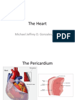 The Heart: Michael Jeffrey D. Gonzales, M.D