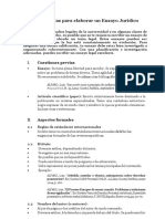 Pautas para Elaborar Un Ensayo Juridico