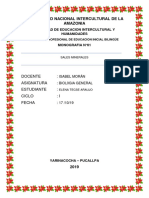 Monografia de Sales Minerales