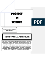 Project IN Science: How Do Animal Reproduce