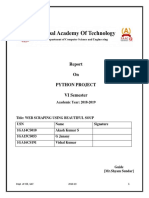 Python Report