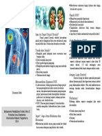 Leaflet CKD