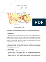 Anatomi Telinga Dan Tulang Mastoid