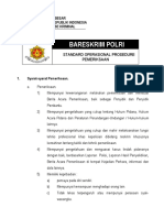 Standar Operasional Pemeriksaan 1 PDF