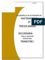 3o Maestro - Cuadernillo de Actividades de Matematicas (2) 2