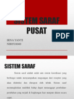 Sistem Saraf Pusat