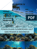 PPT ESDAL