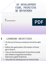 3rd Week of Development Gastulation