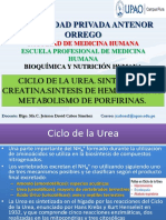 Urea PDF