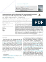 Endothelial FSI